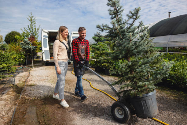 Lawn Watering Services in Herriman, UT